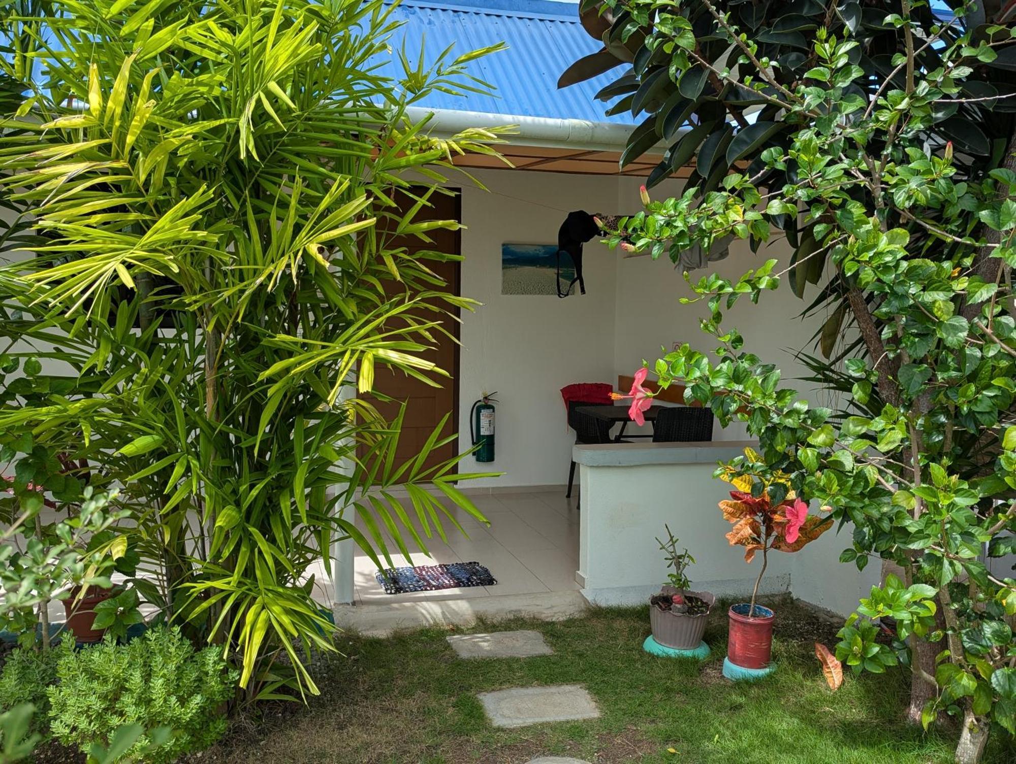 Astillo'S Guest Houses Moalboal Szoba fotó